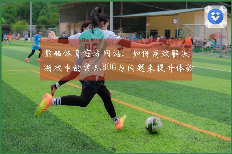 熊猫体育官方网站：如何高效解决游戏中的常见BUG与问题来提升体验